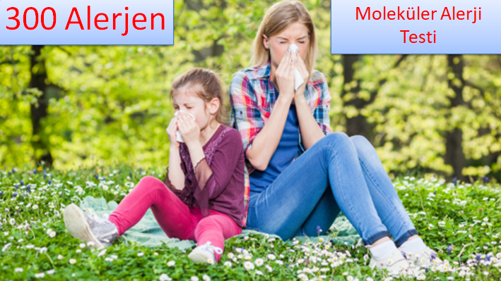 Moleküler Alerji testi (300 Alerjen)