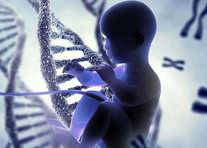 Fetal DNA Analizi