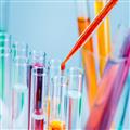Klinik Biyokimya Testleri HİV testi HİV PCR Testi, HİV RNA Testi, Gıda İntolereans Testi Özel Laboratuvar  Ankara  | Yüzüncüyıl Hastanesi Laboratuvarları NİPT Test NİFTY Testi