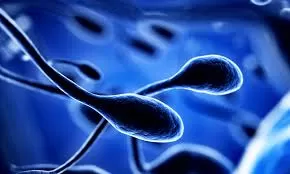 Spermiyogram ve Kruger Testi Nedir? Erkek Kısırlığında Tanı ve Değerlendirme