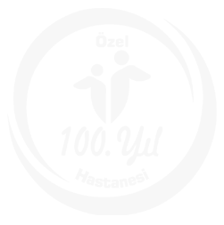 yüzyıllab